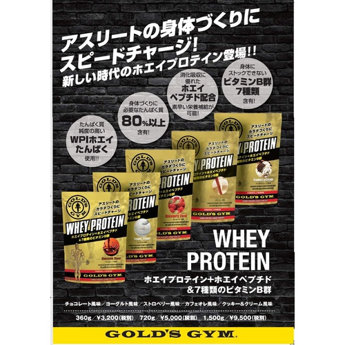  GOLDS GYM 유청 단백질 초콜릿 맛 720g