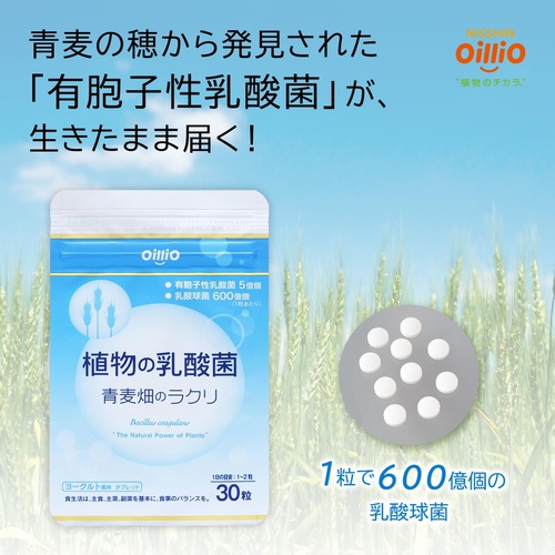  닛신 오일리오 식물 유산균 청보리밭의 라쿠리 30알 유산균 보충제 요구르트 맛