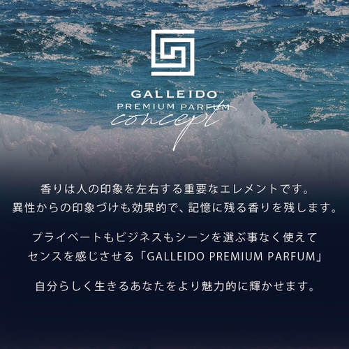  GALLEIDO PREMIUM PARFUM BLUE 25ml 남성용