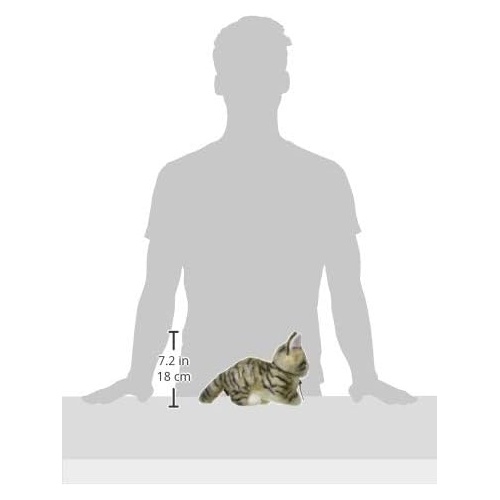  Sanei Boeki 오리지널 인형 그레이스 풀 아기고양이 W14.5×D21.5×H15.5cm