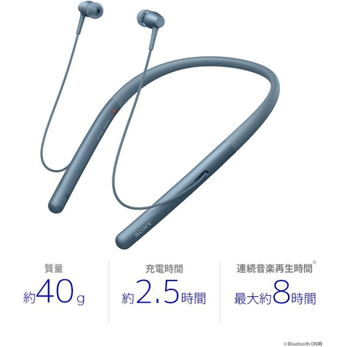  SONY 무선 이어폰 h.ear in 2 Wireless WI/H700