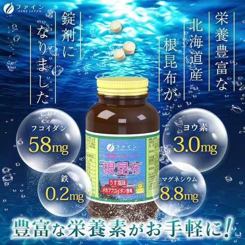  FINE JAPAN 다시마 추출물 500알 요오드철 마그네슘 함유