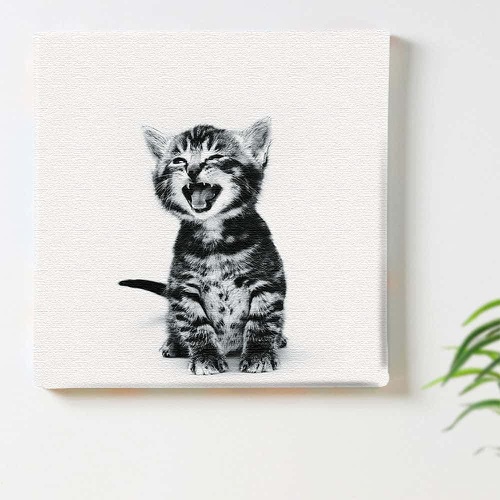  ArtDeli 고양이 동물 아트 패널 30*30cm 인테리어 심플 패브릭