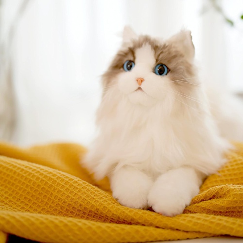  Chongker 고양이 인형 선물 장난감 추천 