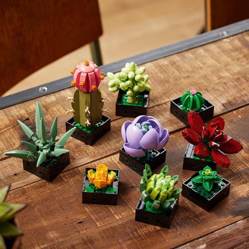  LEGO 다육식물 10309 장난감 블록 선물 꽃 플라워 인테리어