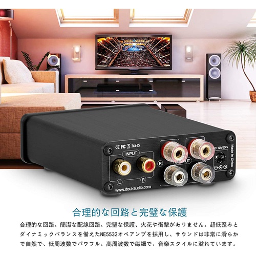  Douk Audio Nobsound NS 04G Mini 디지털 파워 앰프 HiFi TPA 3116 스테레오 2.0 채널