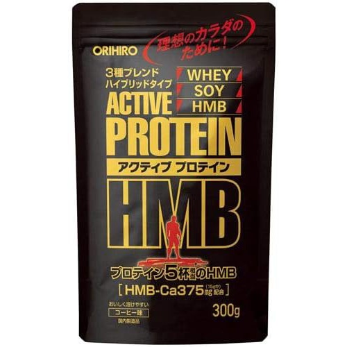  오리히로 액티브 단백질 HMB 300gx3봉