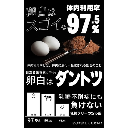  REVOPRO EGG WHITE PROTEIN 초콜릿 맛 1kg