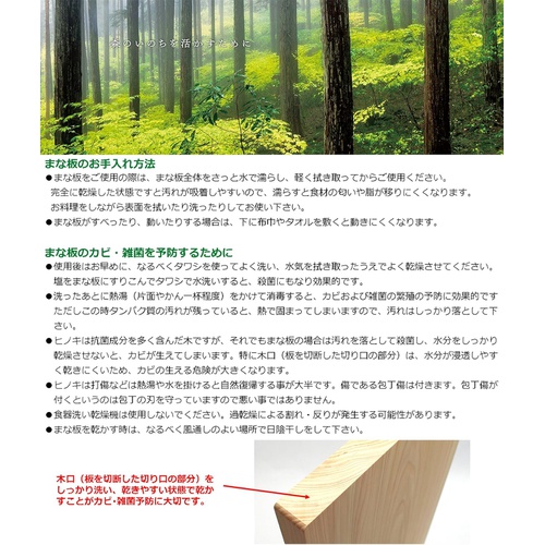  TOSARYU 도마 편백나무 미니 커팅보드 M21×14.5×0.8cm HM 2002