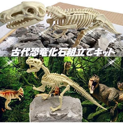  UTST 공룡 화석 발굴 장난감 키트 티라노사우루스 맘모스 교육 장난감 