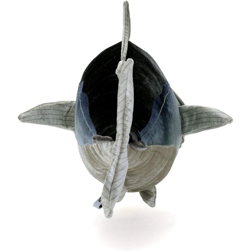  카롤라타참치 봉제인형 물고기 장난감 