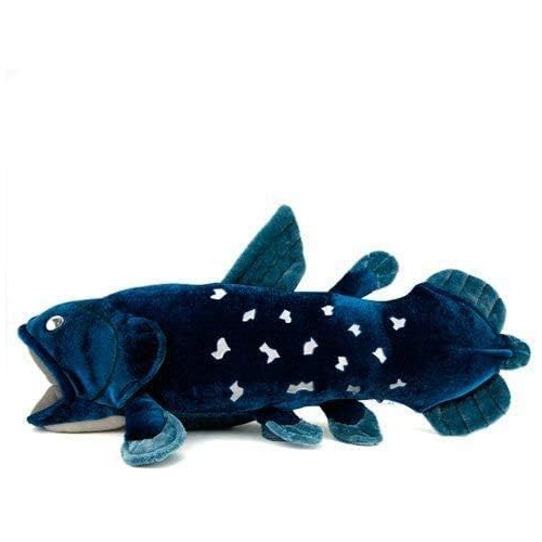  카롤라타실라캉스 봉제인형 리얼 고대어 물고기 장난감