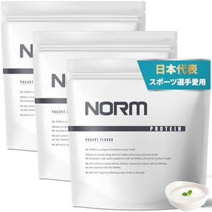 NORM 유청 단백질 3kg 인공 감미료 미사용 요거트맛