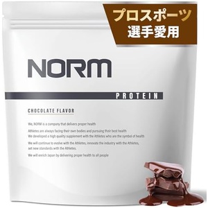 NORM 유청 단백질 1kg 인공 감미료 미사용 초콜릿 맛