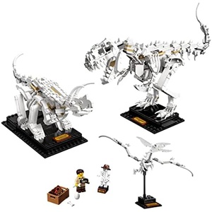 LEGO 아이디어 공룡화석 21320 장나감 블록 