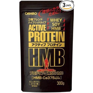 오리히로 액티브 단백질 HMB 300gx3봉