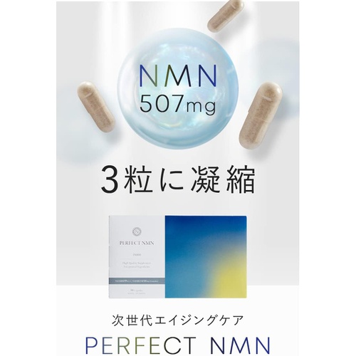  서플리퍼펙트 NMN Perfect 1일 3알 507mg 90캡슐