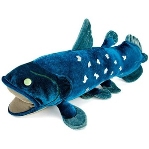 카롤라타실라캉스 봉제인형 리얼 고대어 물고기 장난감