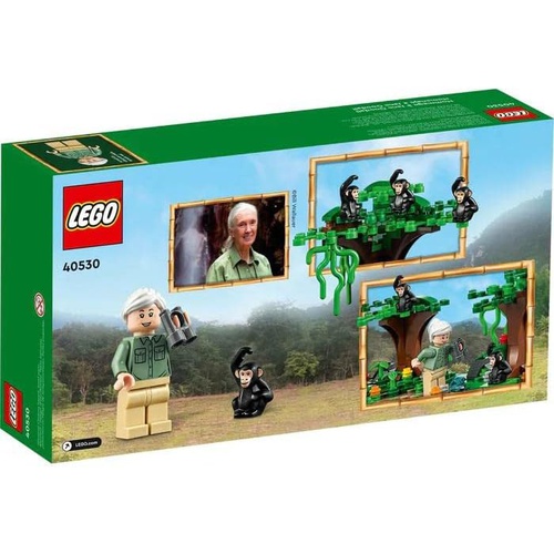  LEGO 제인 구달 트리뷰트 40530 장난감 블록