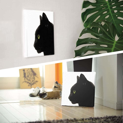  ArtDeli 고양이 동물 아트 패널 30×30cm 인테리어 그림