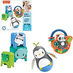 fisher price 오감 놀이 세트 GWT74 성장기 어린이 장난감