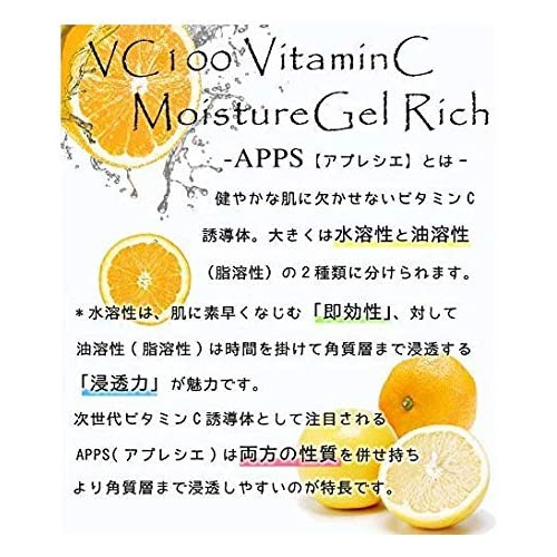  PROSTAGE VC100 VitaminC Moisture gel 200g Rich 비타민C 모이스처 올인원겔 리치 