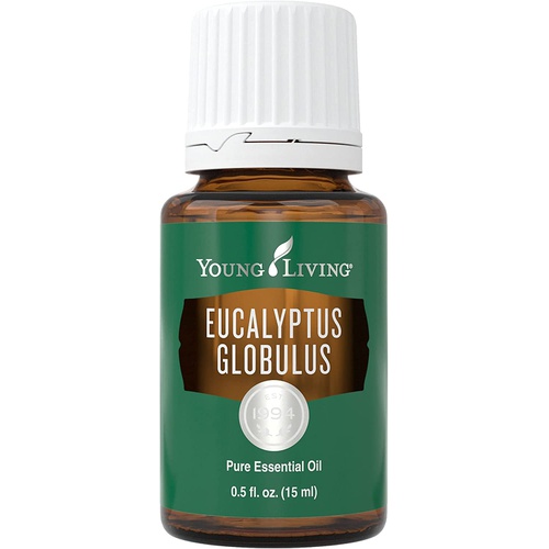  Young Living Eucalyptus Globulus 에센셜 오일 15ml