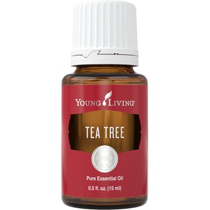 Young Living Tea Tree 에센셜 오일 15ml