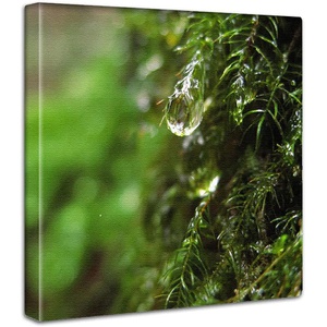 ArtDeli 식물 자연 아트 패널 30×30cm 인테리어 그린 물방울 풍경 패브 그림 