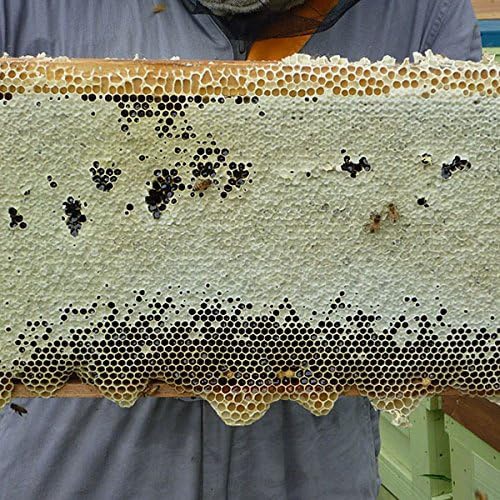  꿀벌 본점 밀랍 크림 왁스 BEESWAX 40g