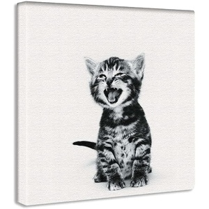 ArtDeli 고양이 동물 아트 패널 30*30cm 인테리어 심플 패브릭