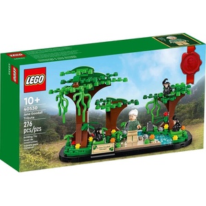 LEGO 제인 구달 트리뷰트 40530 장난감 블록