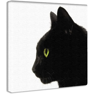 ArtDeli 고양이 동물 아트 패널 30×30cm 인테리어 그림