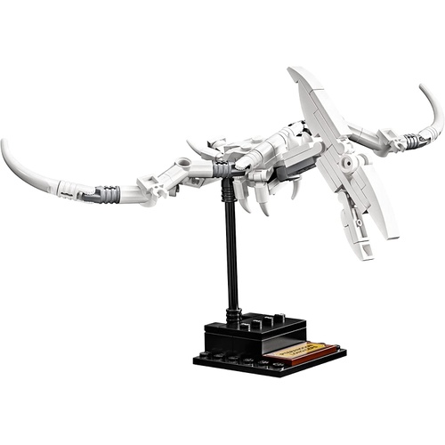  LEGO 아이디어 공룡화석 21320 장나감 블록 