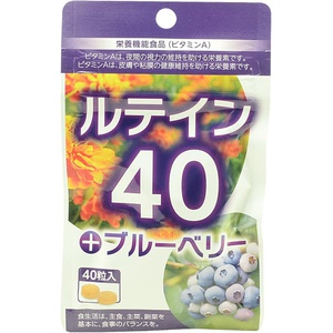 일본 케미스트리 40 블루베리 40알 건강 보조식품 
