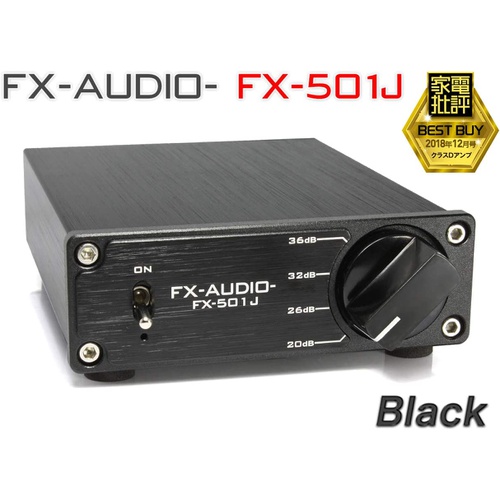  FX AUDIO-FX-501J TPA3118 디지털 모노럴 파워 앰프 IC 탑재