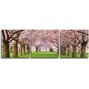 Lift Gather 아름답게 피는 벚꽃 나무 3장 아트 패널 30*30cmx3매