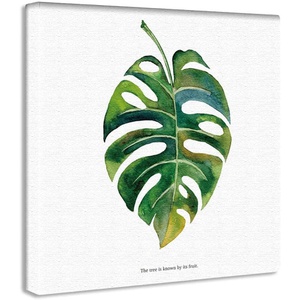 ArtDeli 포스터 패널 관엽 식물 15×15cm 인테리어 그림