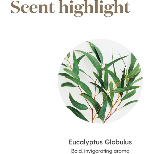  Young Living Eucalyptus Globulus 에센셜 오일 15ml