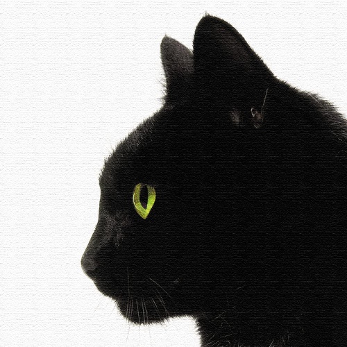  ArtDeli 고양이 동물 아트 패널 30×30cm 인테리어 그림