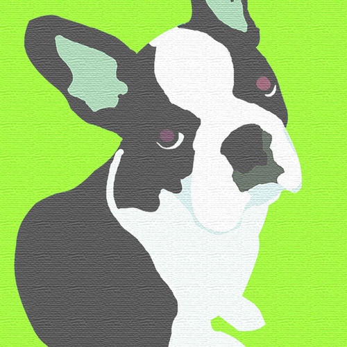  ArtDeli 보스턴테리어 강아지 그림 30×30cm 인테리어 용품 