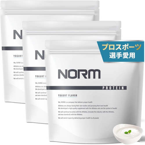  NORM 유청 단백질 3kg 인공 감미료 미사용 요거트맛