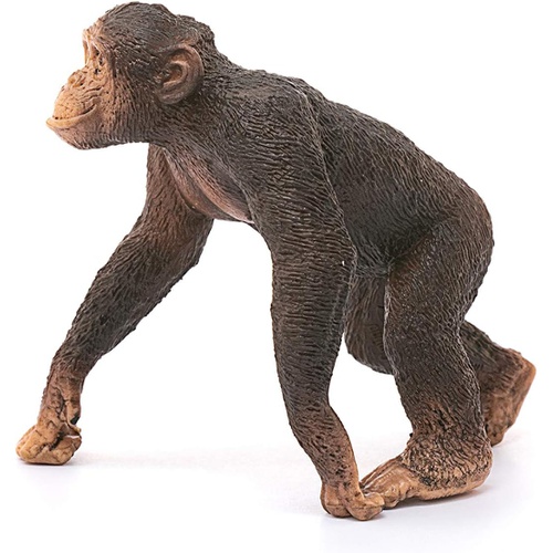  Schleich 와일드 라이프 침팬지 수컷 피규어14817