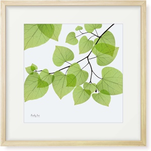 MitchyArt 회화 잎이 넓어지는 인테리어 그림 꽃 아트 패널 액자 포함 32*32cm