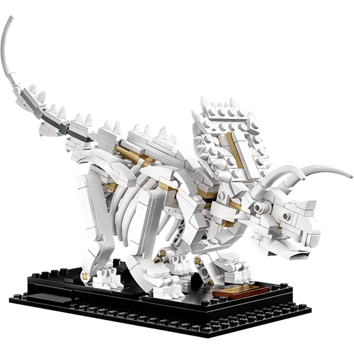  LEGO 아이디어 공룡화석 21320 장나감 블록 