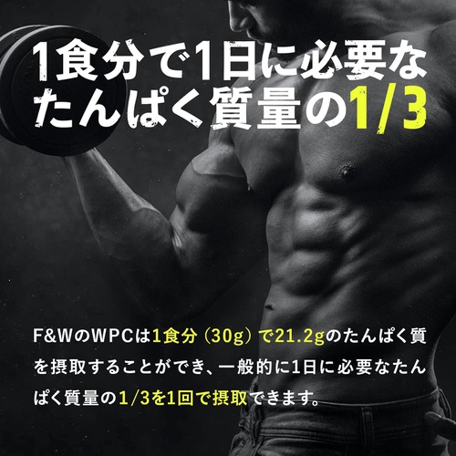  F&W 웨이 프로틴 WPC 1kg 멜론맛 단백질 함량 74%
