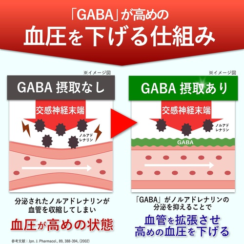  GABA 60알 2봉세트 보충제 고쿠테모