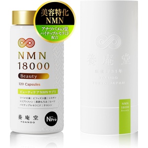 아베요안도약품 NMN 18000 Beauty 18,000mg 120캡슐 