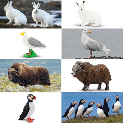  TOYMANY 14PCS 미니 북극 동물 피규어 세트 리얼 동물 모형 