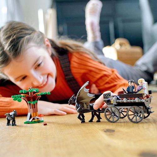  LEGO 해리포터 호그와트 세스트럴마차 76400 장난감 블록